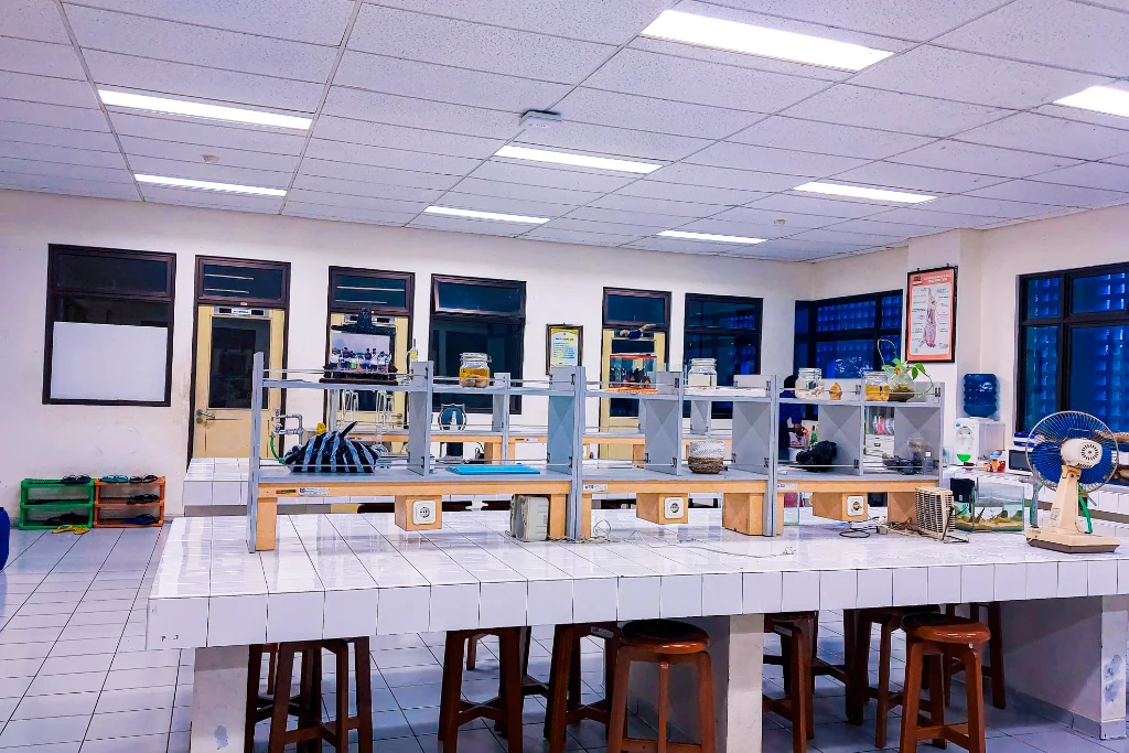 Custom LED Display